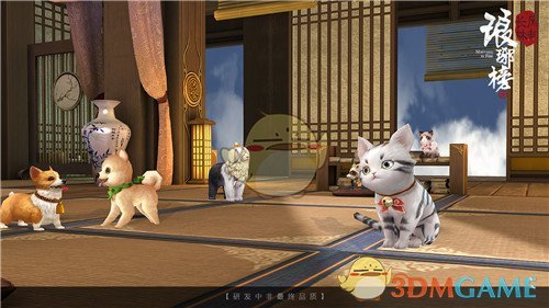 周扬青回应只谈姐弟恋